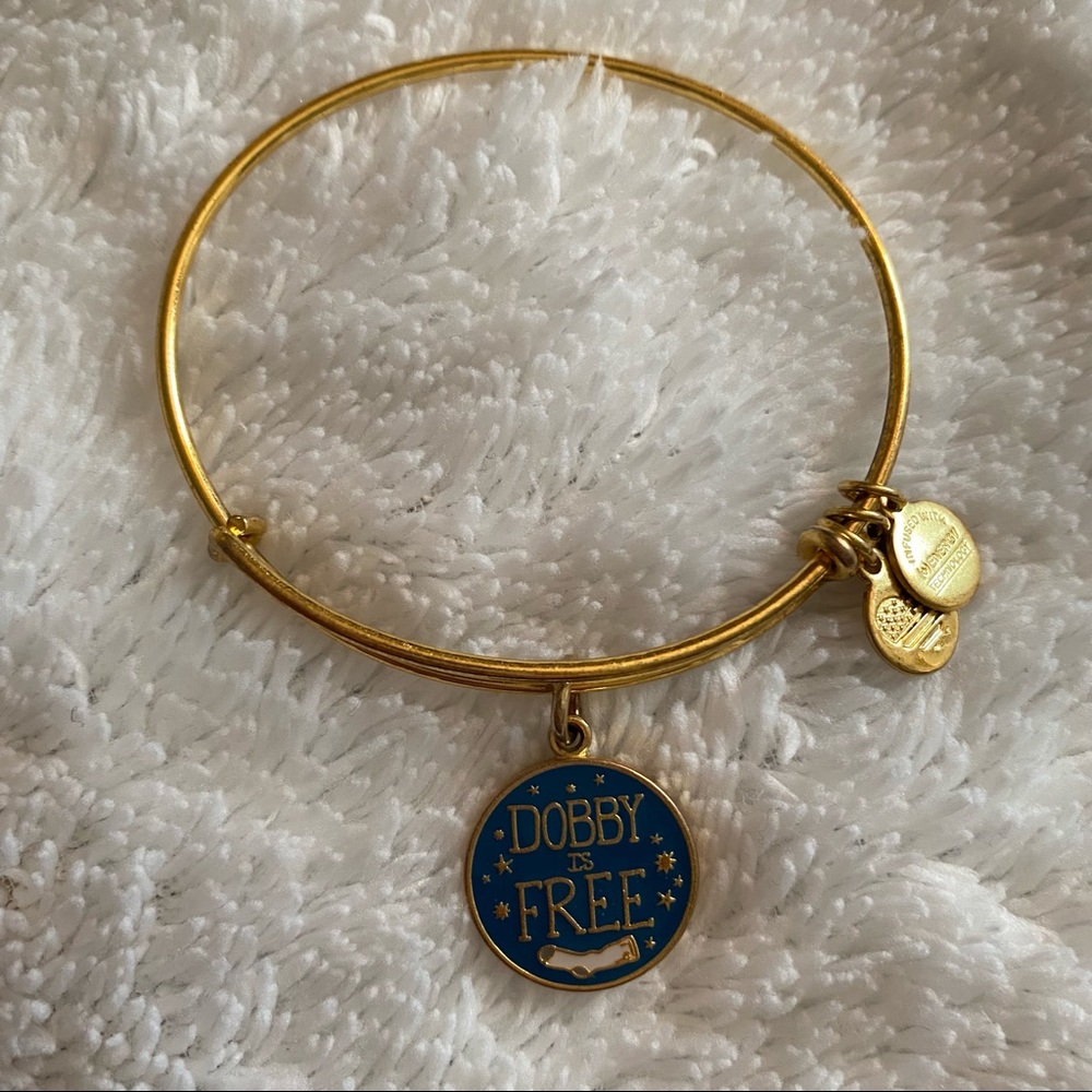 Harry Potter Dobby is Free bracelet